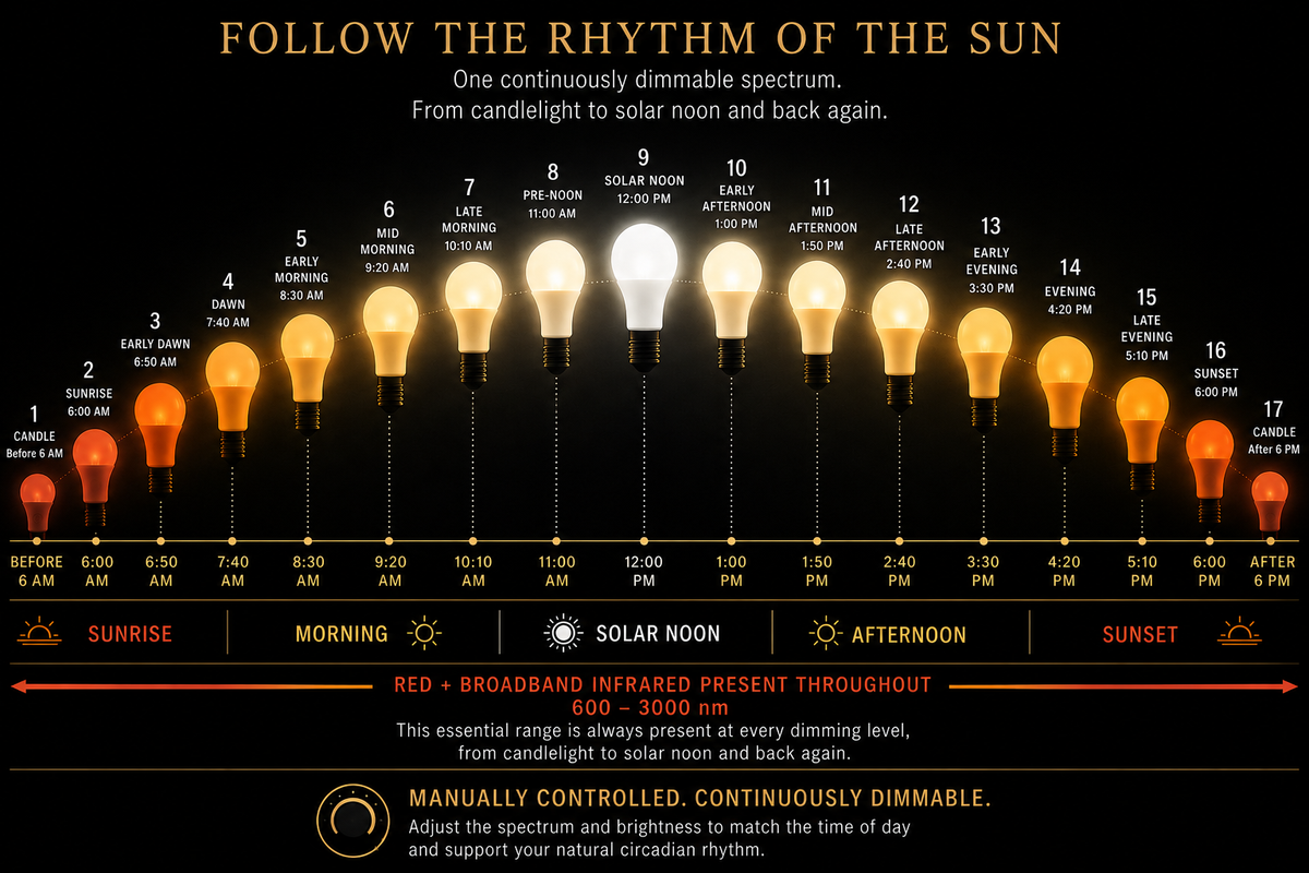 BioLux A19 Bulb: Dimmable